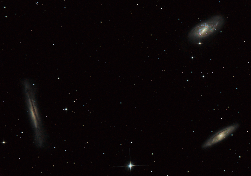 Leo Triplet - M65 M66 NGC3628 - Head