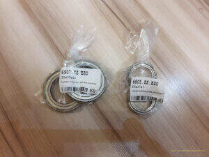 iOptron CEM25P - oś DEC - nowe łożyska