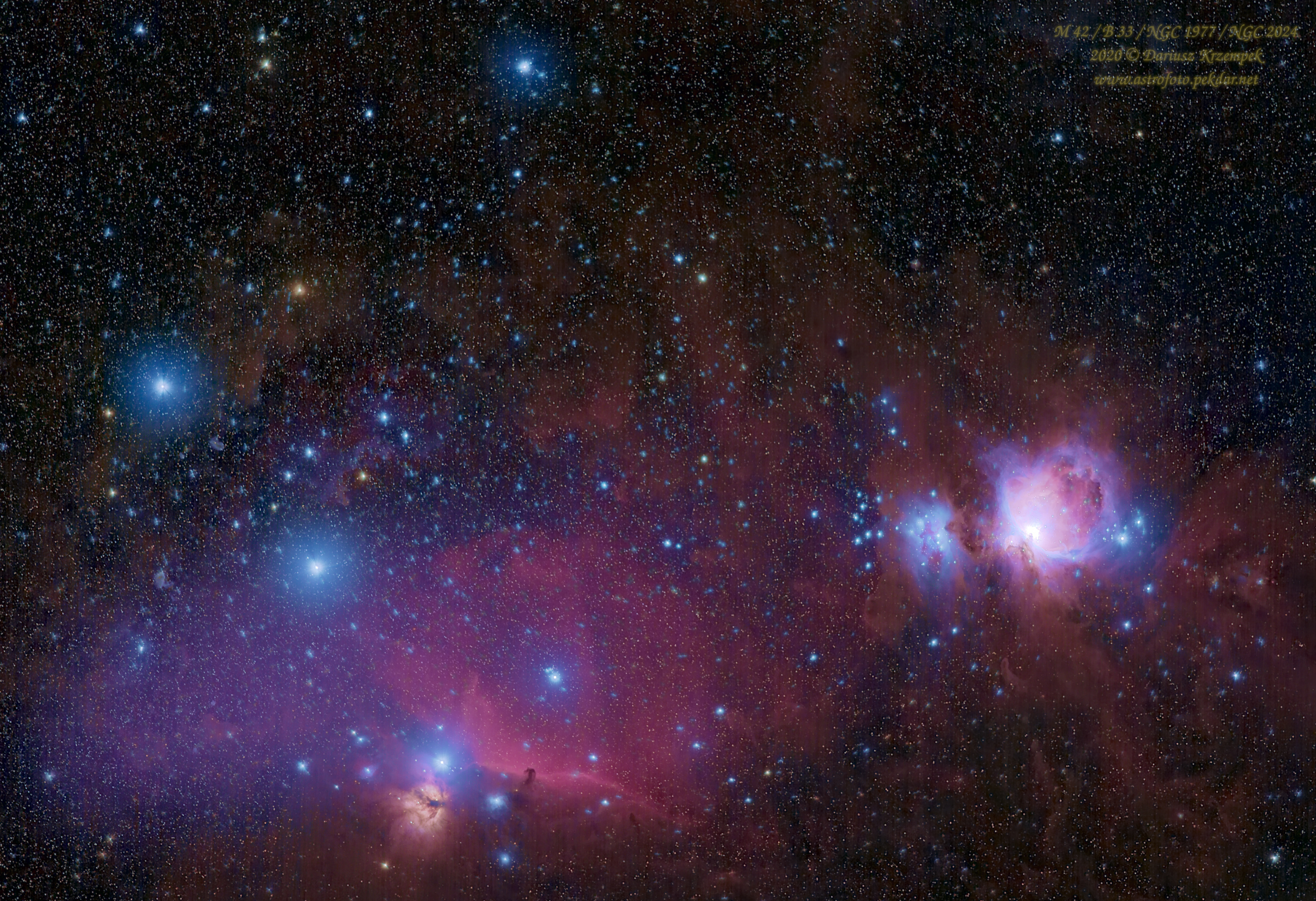 Crop of M42, B33, NGC1977, NGC2024, M78