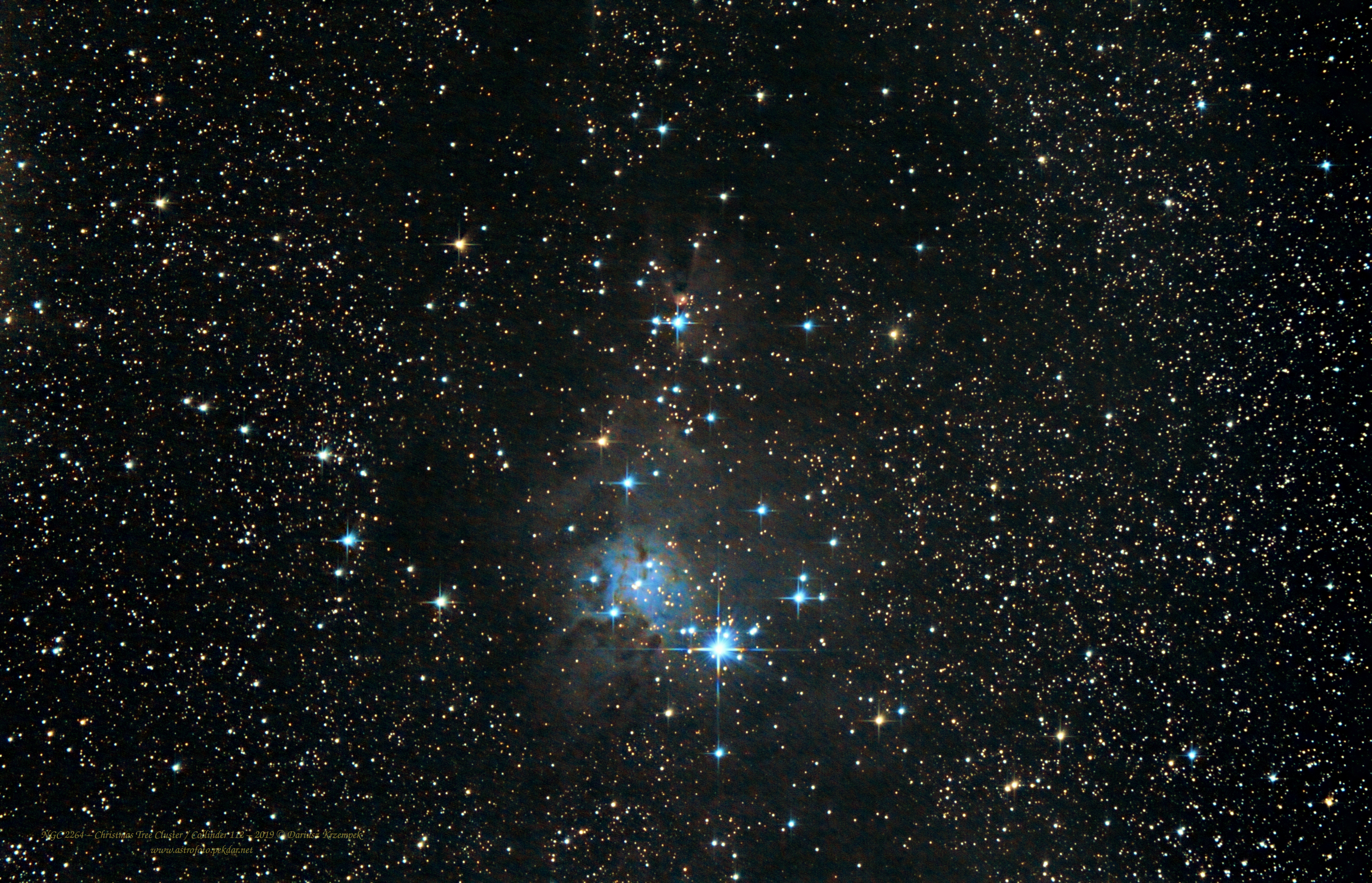 NGC 2264 – Christmas Tree Cluster / Collinder 112