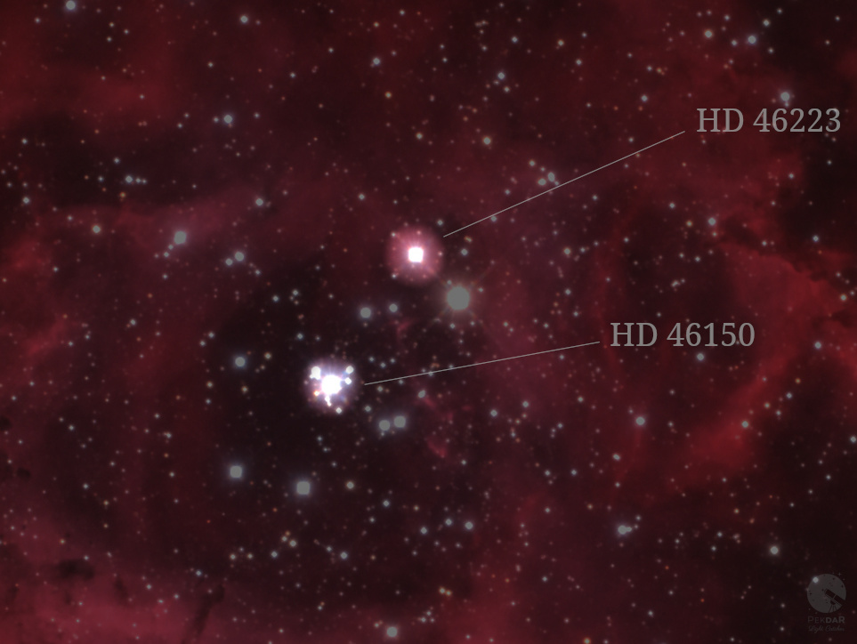 Stars HD46223 and HD46150