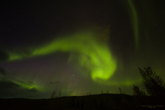 Aurora Borealis – Miðdalskot, Bláskógabyggð - Photo nr 8 of 23